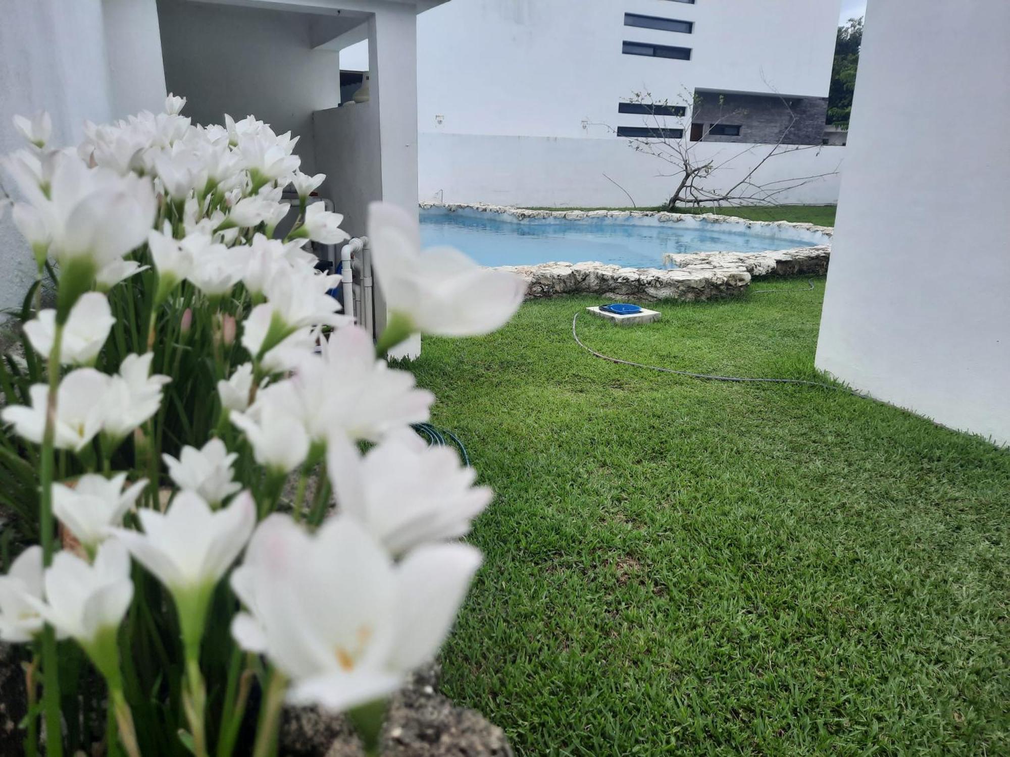 Amaxing Cancun Airport Экстерьер фото