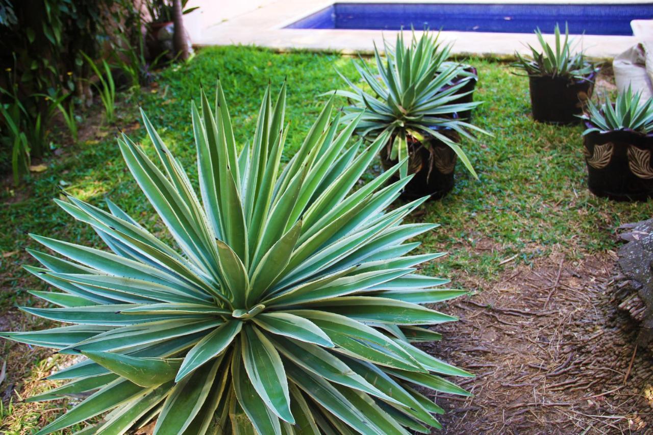Amaxing Cancun Airport Экстерьер фото